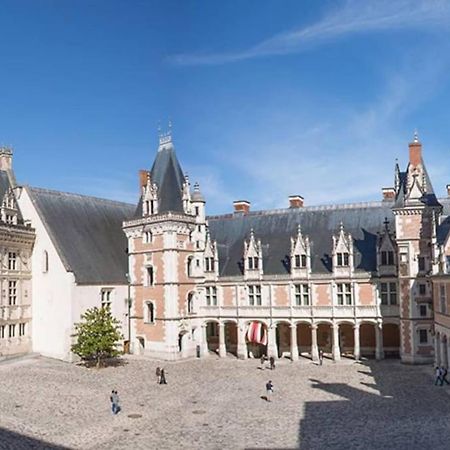 Gite Troglodyte Les Iris Villiers-sur-Loir Exterior photo